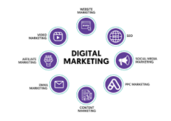 Earn Daily from Home: Master Digital Marketing Today