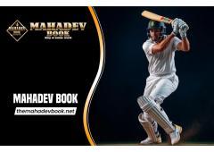 Mahadev Book ID: What It Is, How It's Searched Online & Important Things to Know